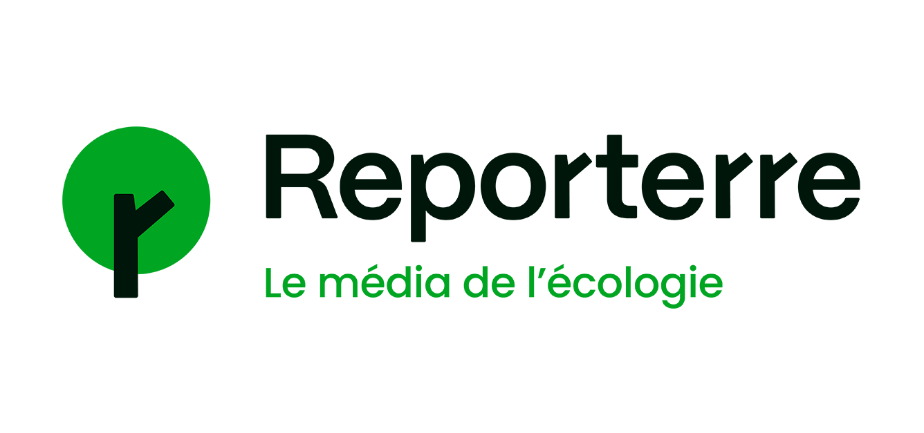 reportee